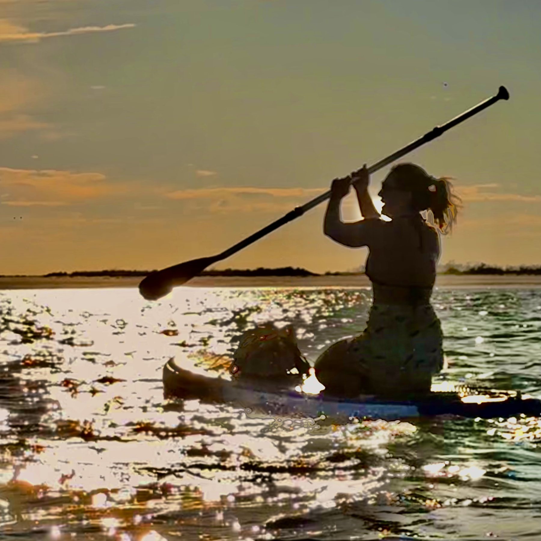 Photo #7: A SUP paddler driving forward through the golden reflection