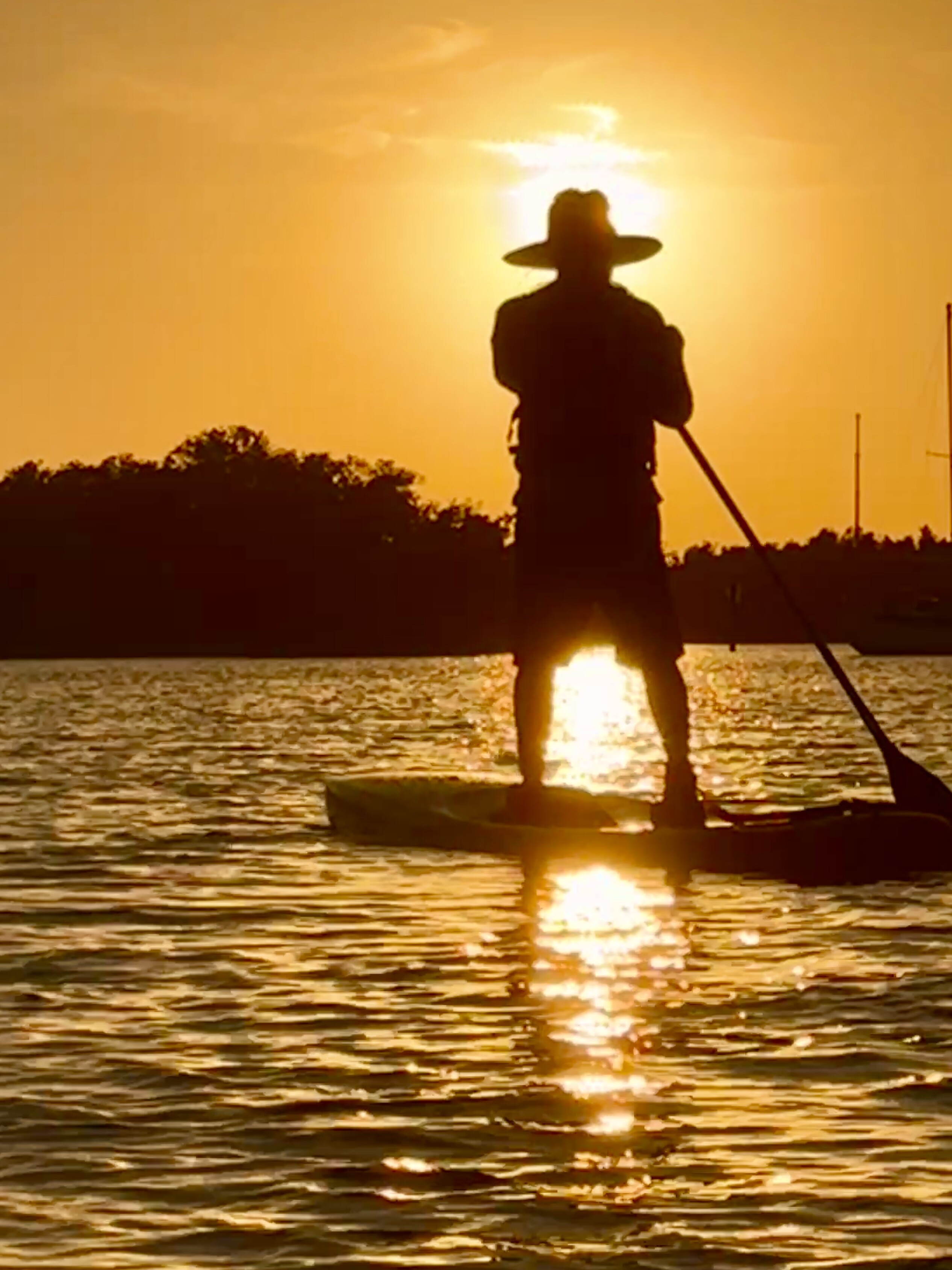 Robbie silhouetted against the setting sun