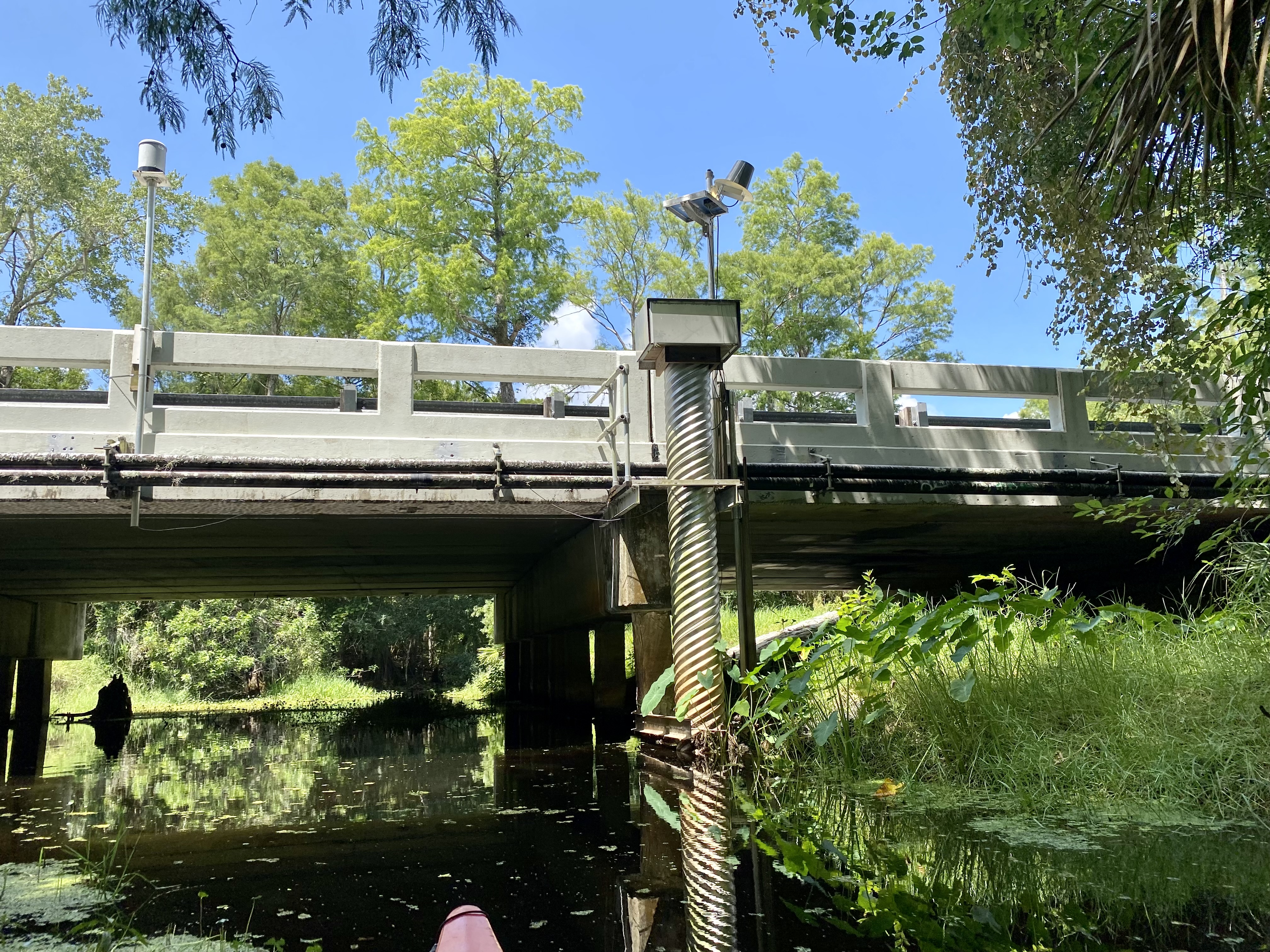 Passing beneath one of the bridges spanning Brooker Creek.