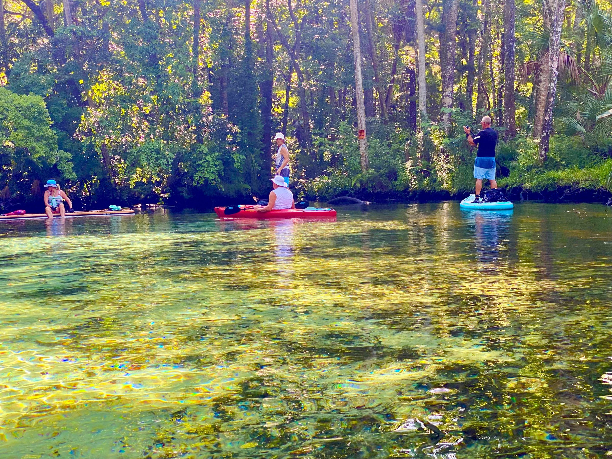 Preview of Anclote River