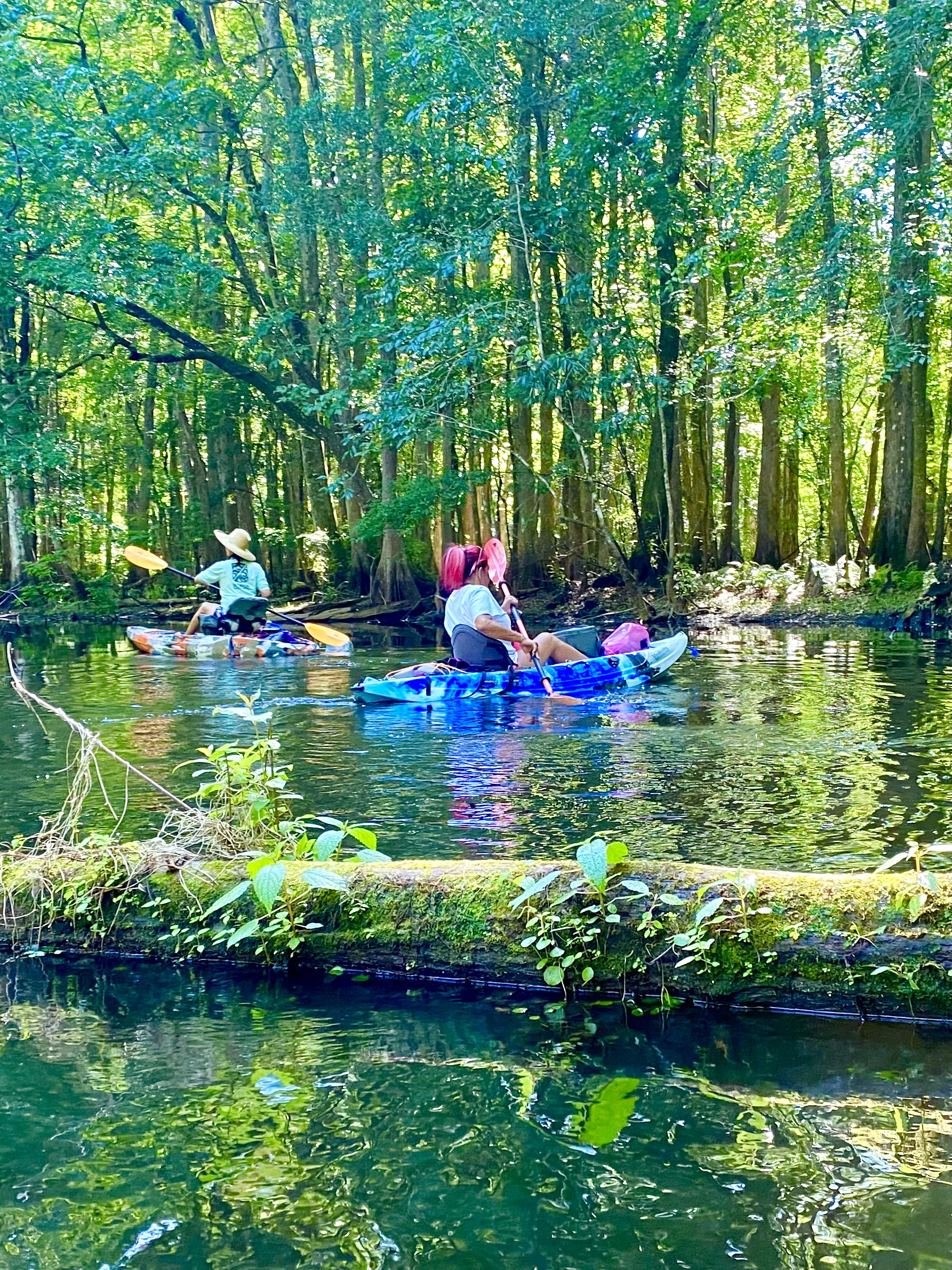 Hillsborough River paddle photo 05