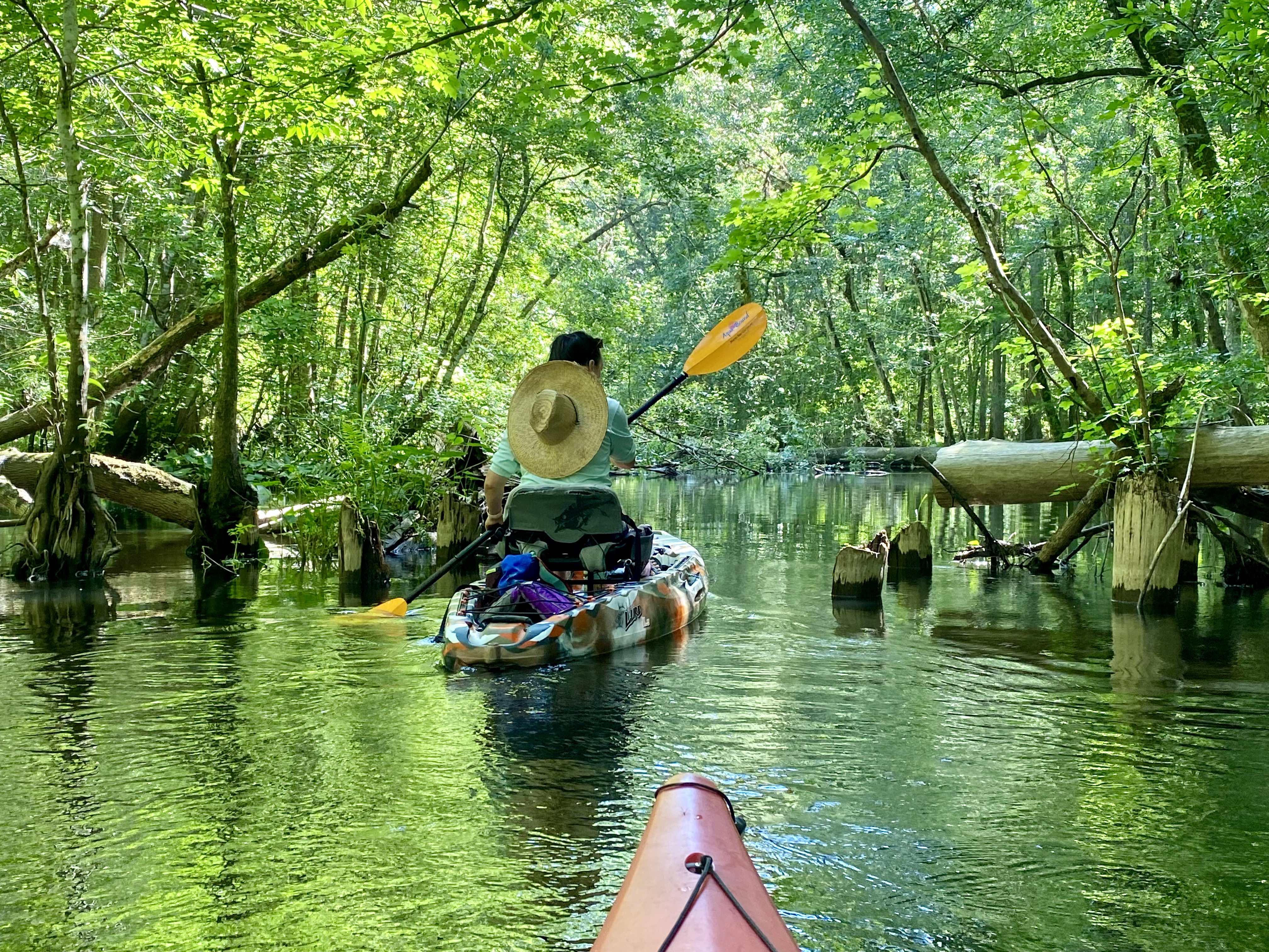Hillsborough River paddle photo 11