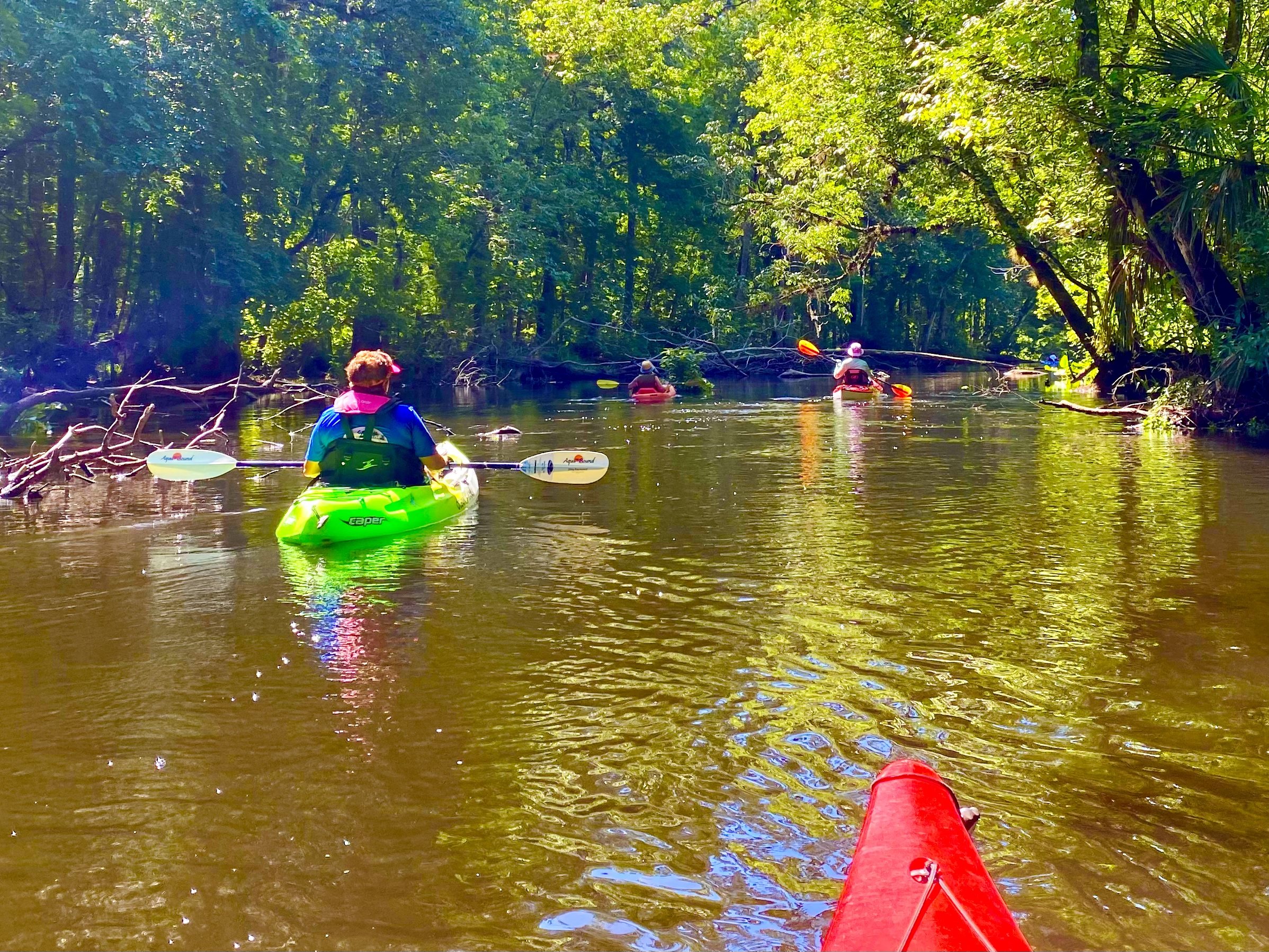Hillsborough River paddle photo 13