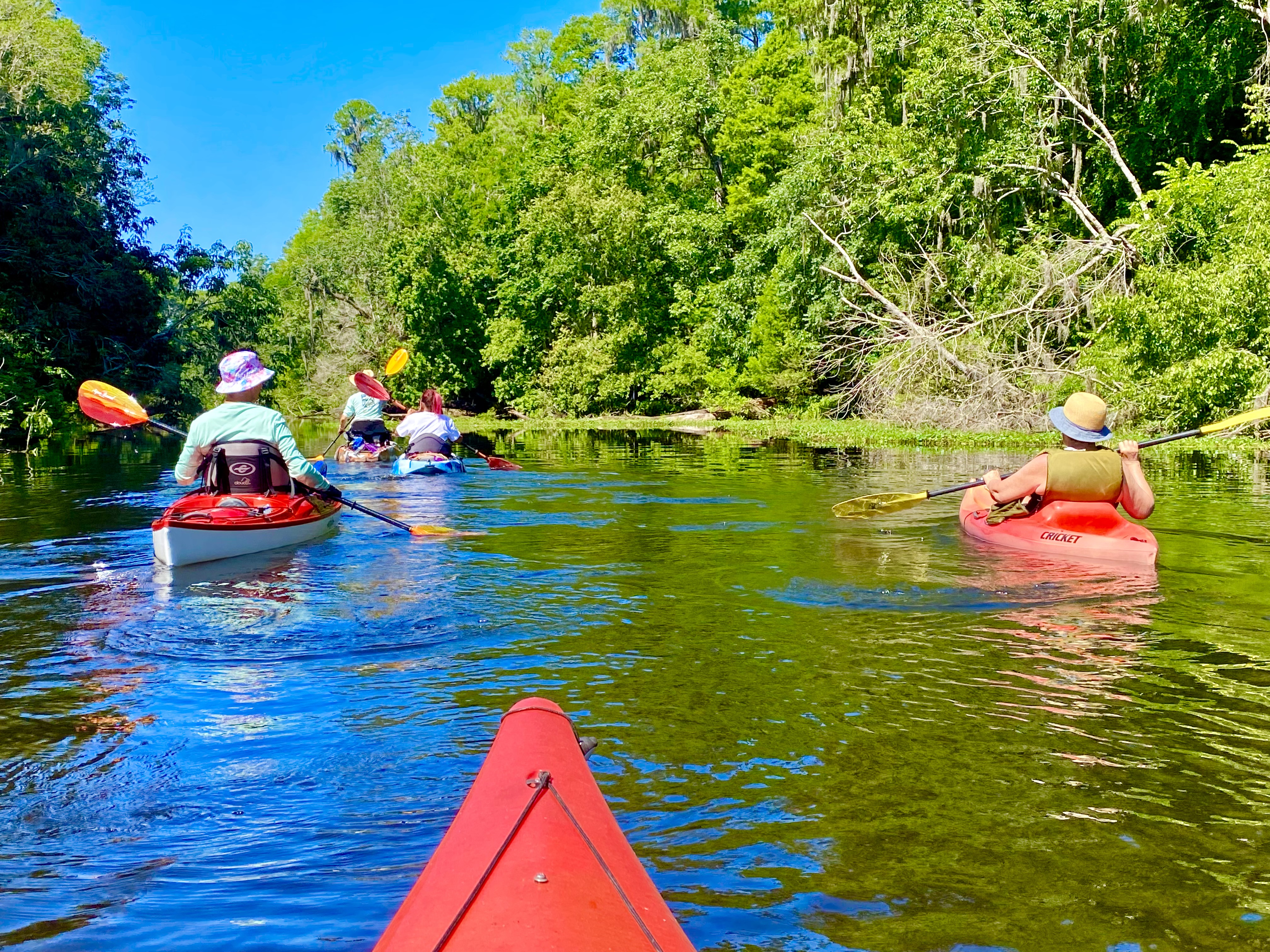 Hillsborough River paddle photo 17