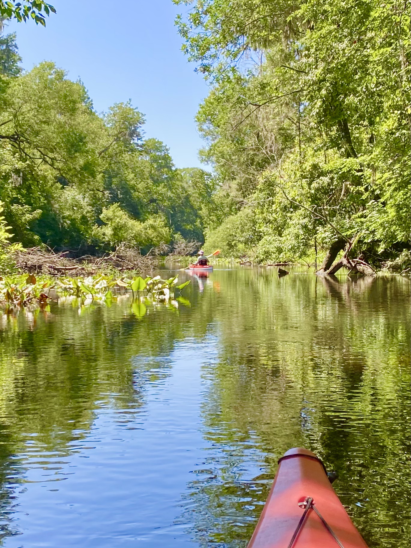 View over the bow of a kayak on the quiet Hillsborough River
