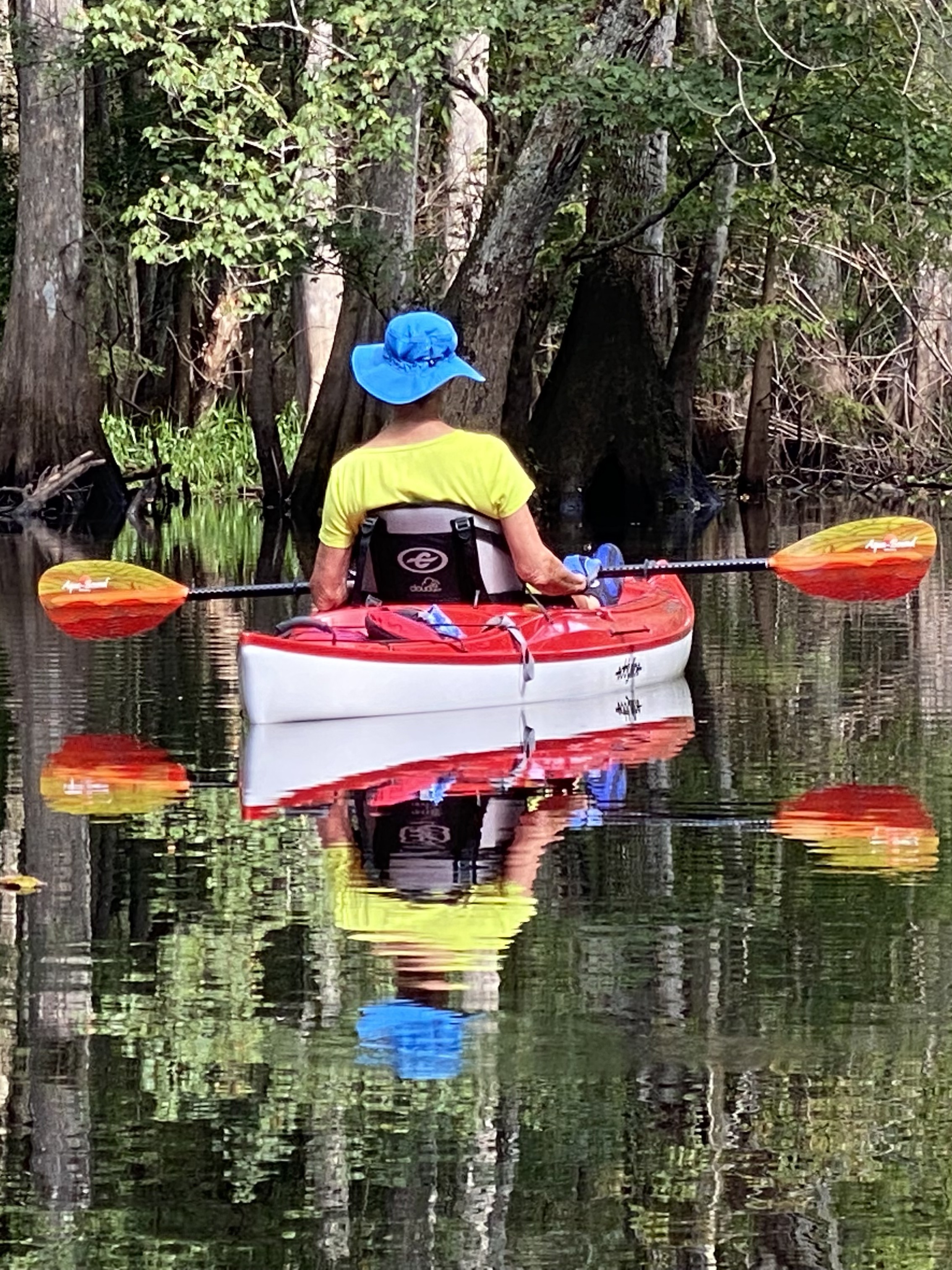 Claire kayaking through cypress reflections