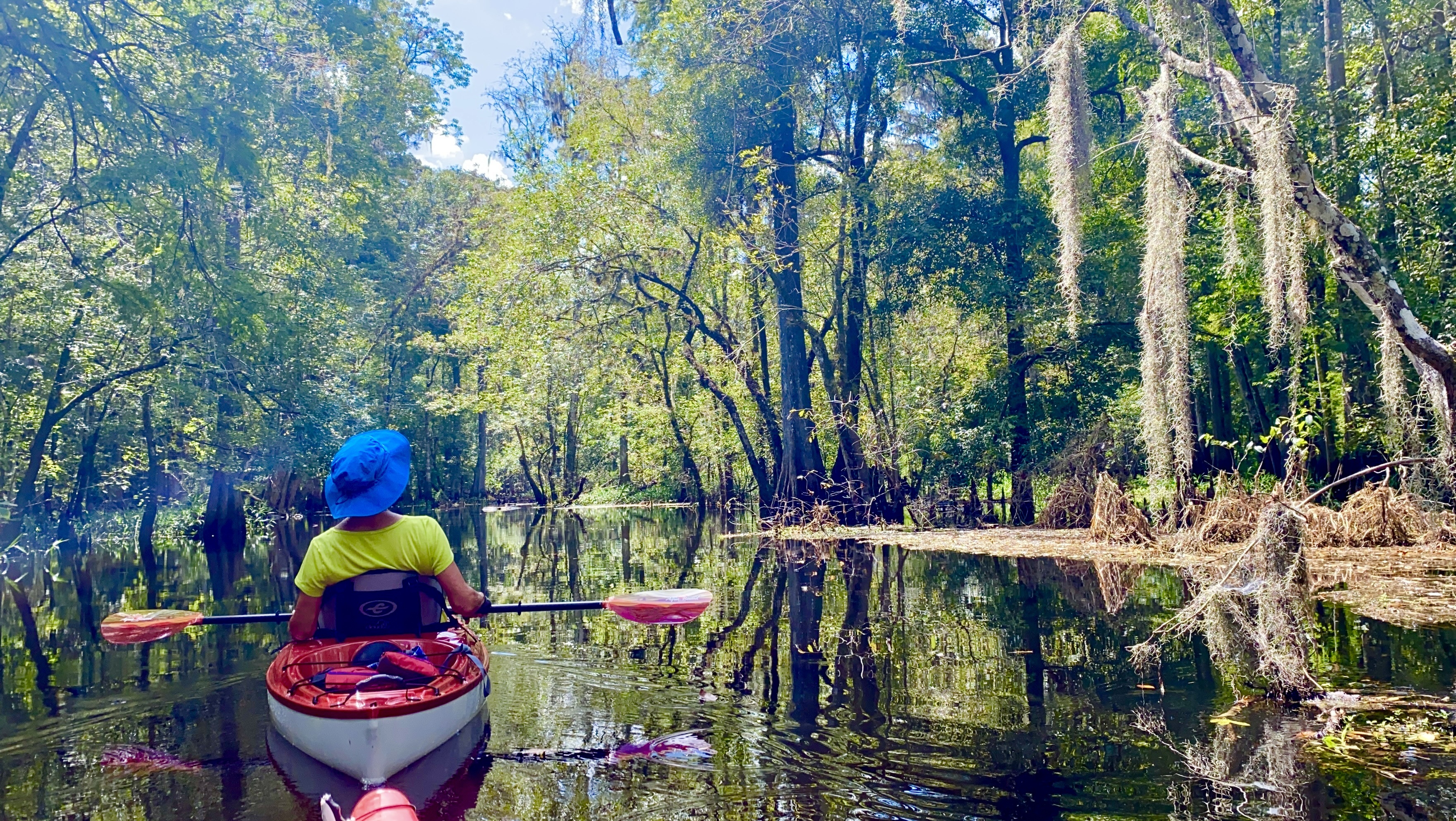 Hillsborough River paddle photo 08