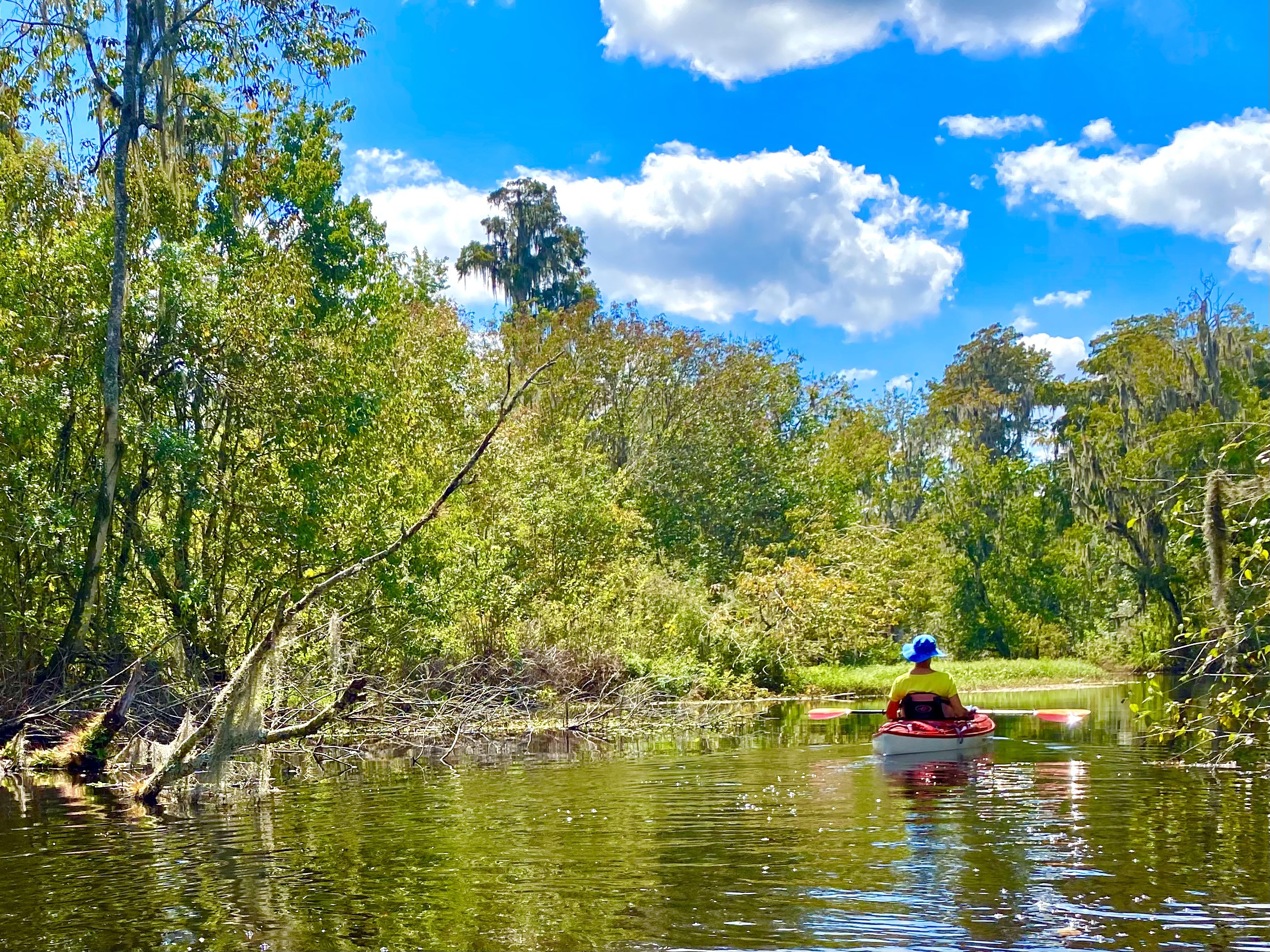Claire kayaking on a sunny open stretch of the Hillsborough River