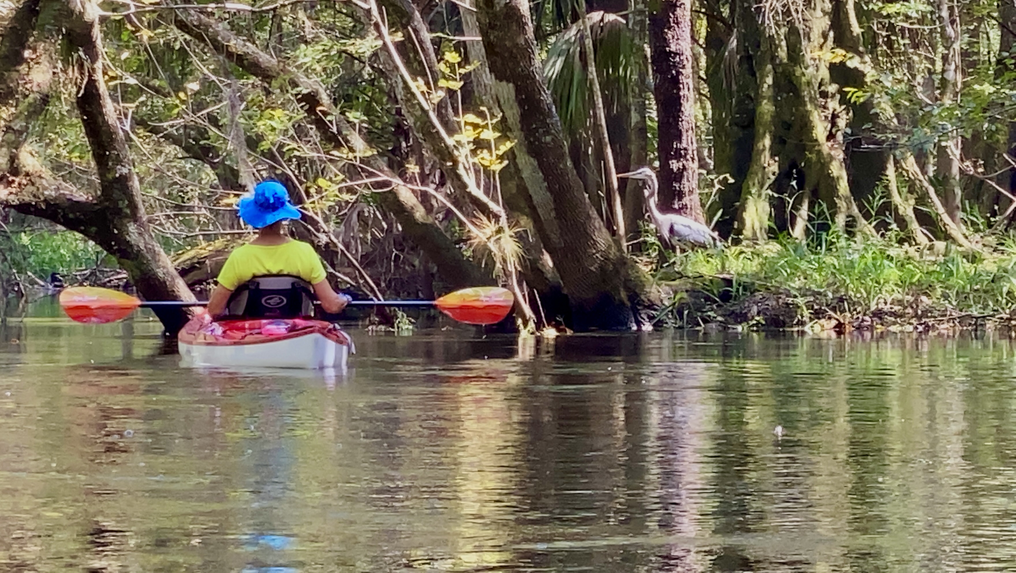 Hillsborough River paddle photo 15