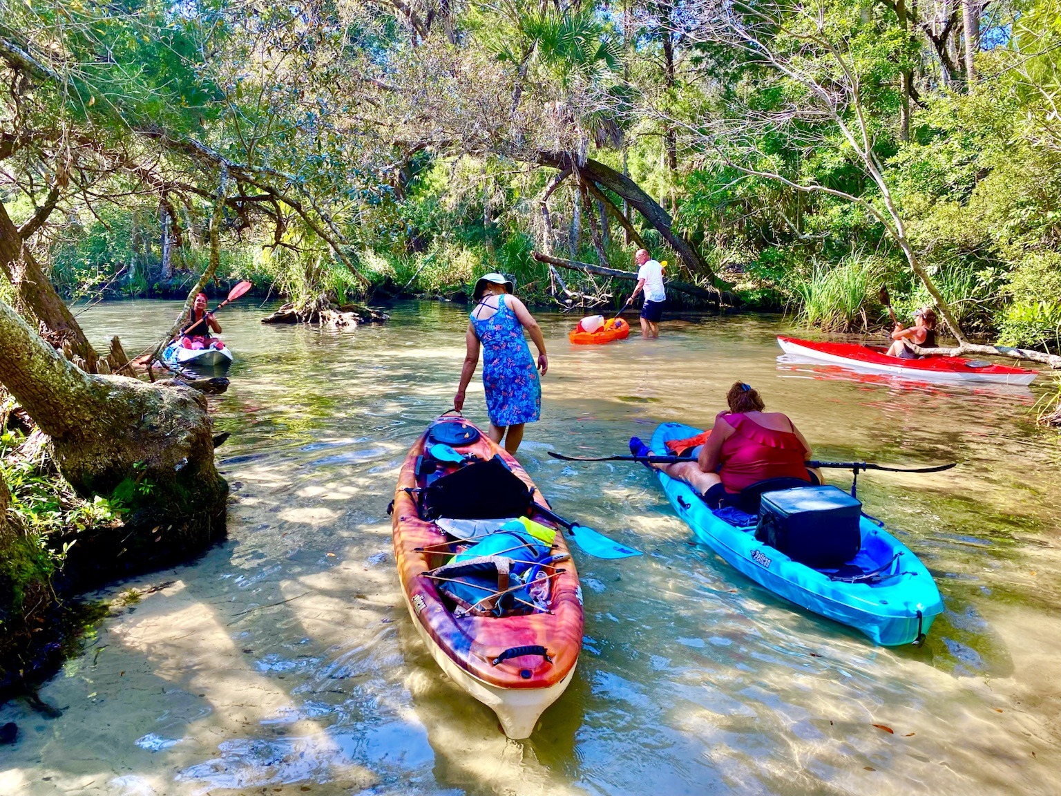 Kayaks gathering in the clear shallows as the group pauses at one of the spring-fed side runs.