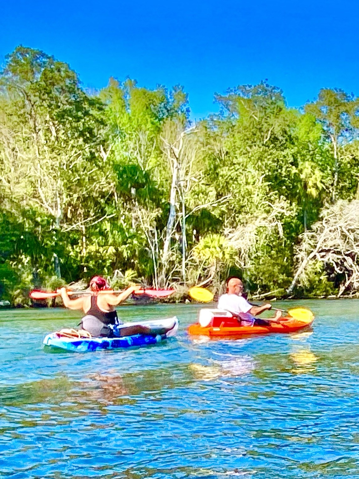 Paddlers enjoying the clear spring water and bright sunshine of the upper Chassahowitzka.