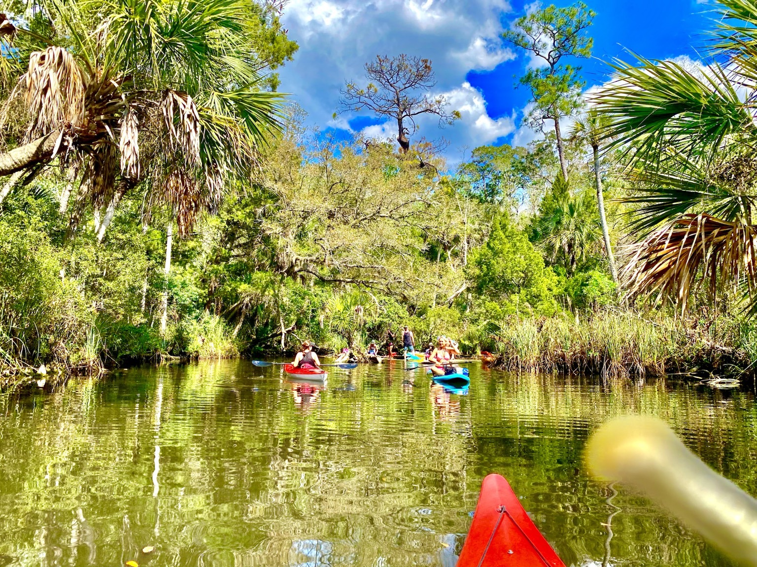 Following a narrow green corridor deeper into the spring-fed backwaters.