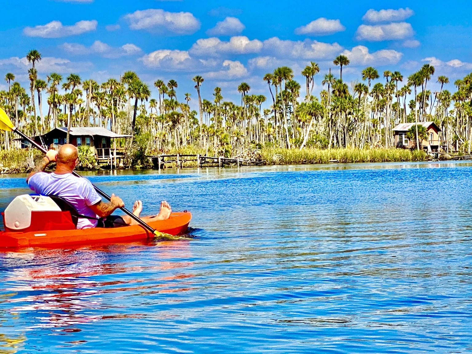 A kayaker crossing bright open water with a wall of palms along the shore.