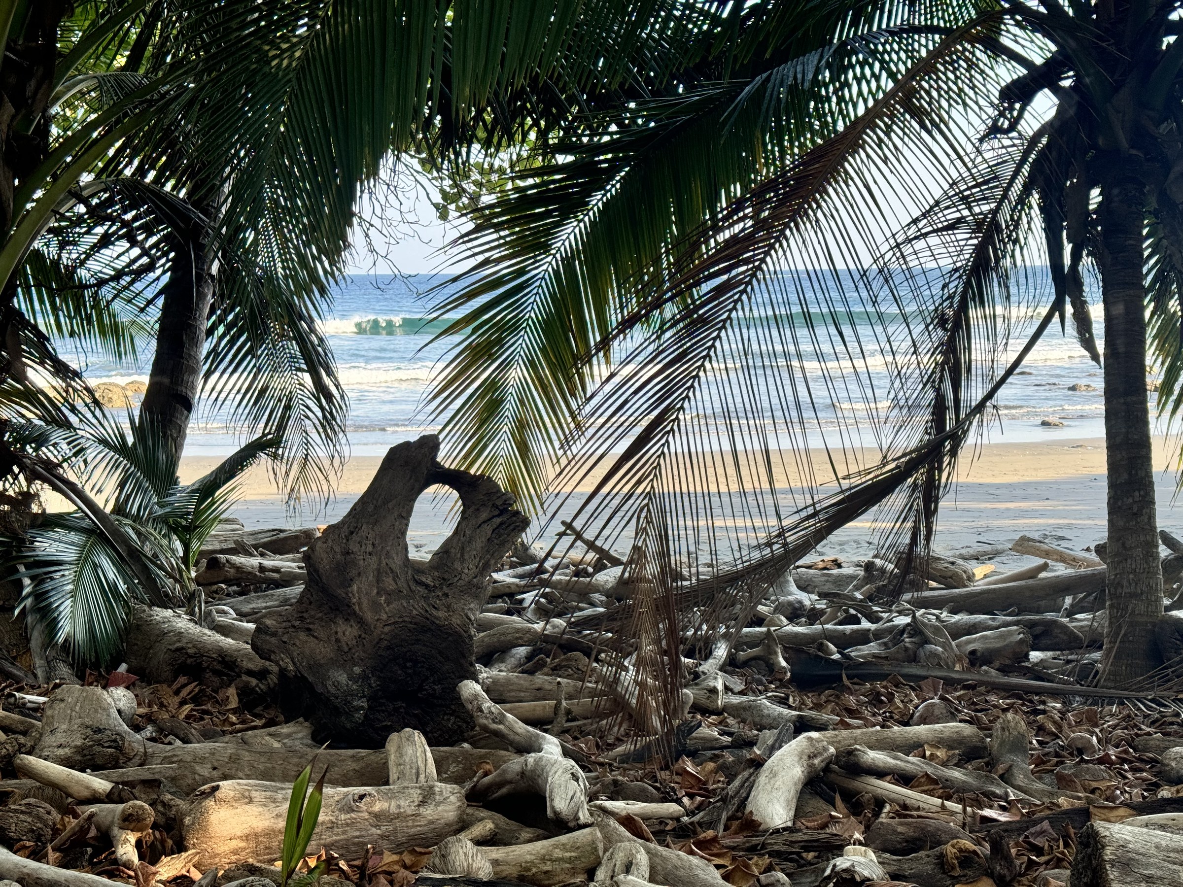 Montezuma, Costa Rica