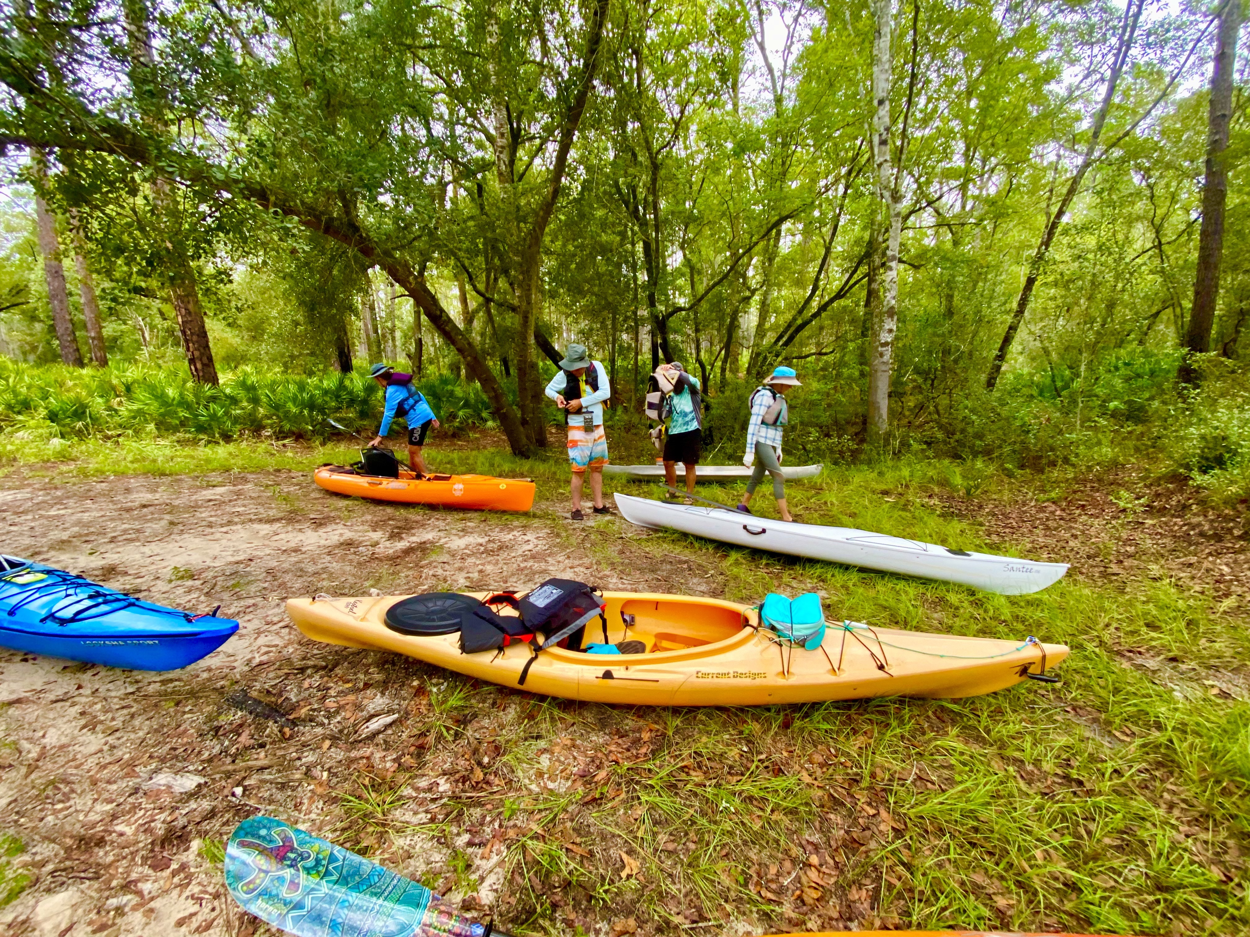 Kayaks and paddlers gathered at a primitive forest launch beside the Sopchoppy River