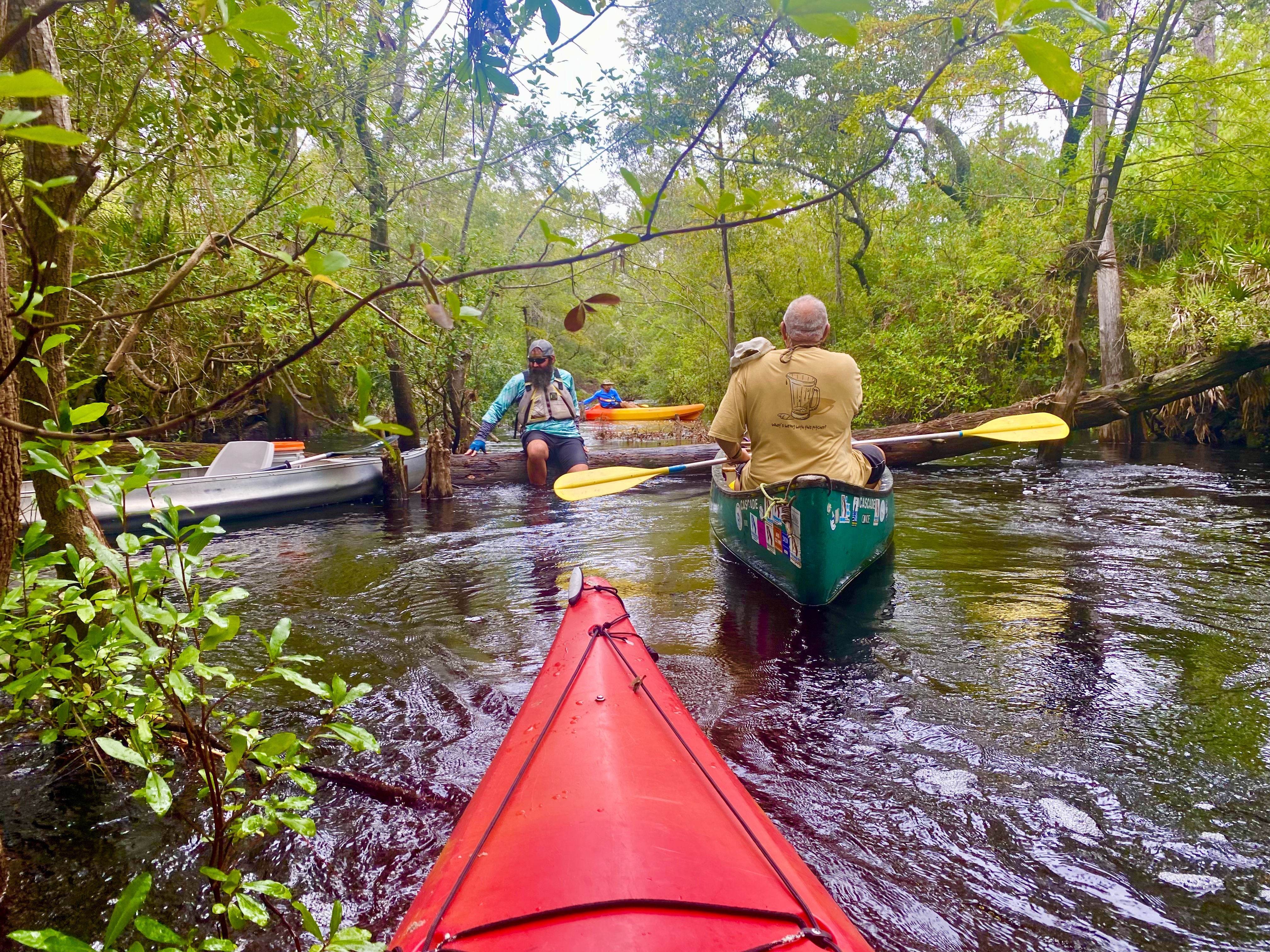 View over a red kayak as paddlers negotiate a tree obstruction on the Sopchoppy River
