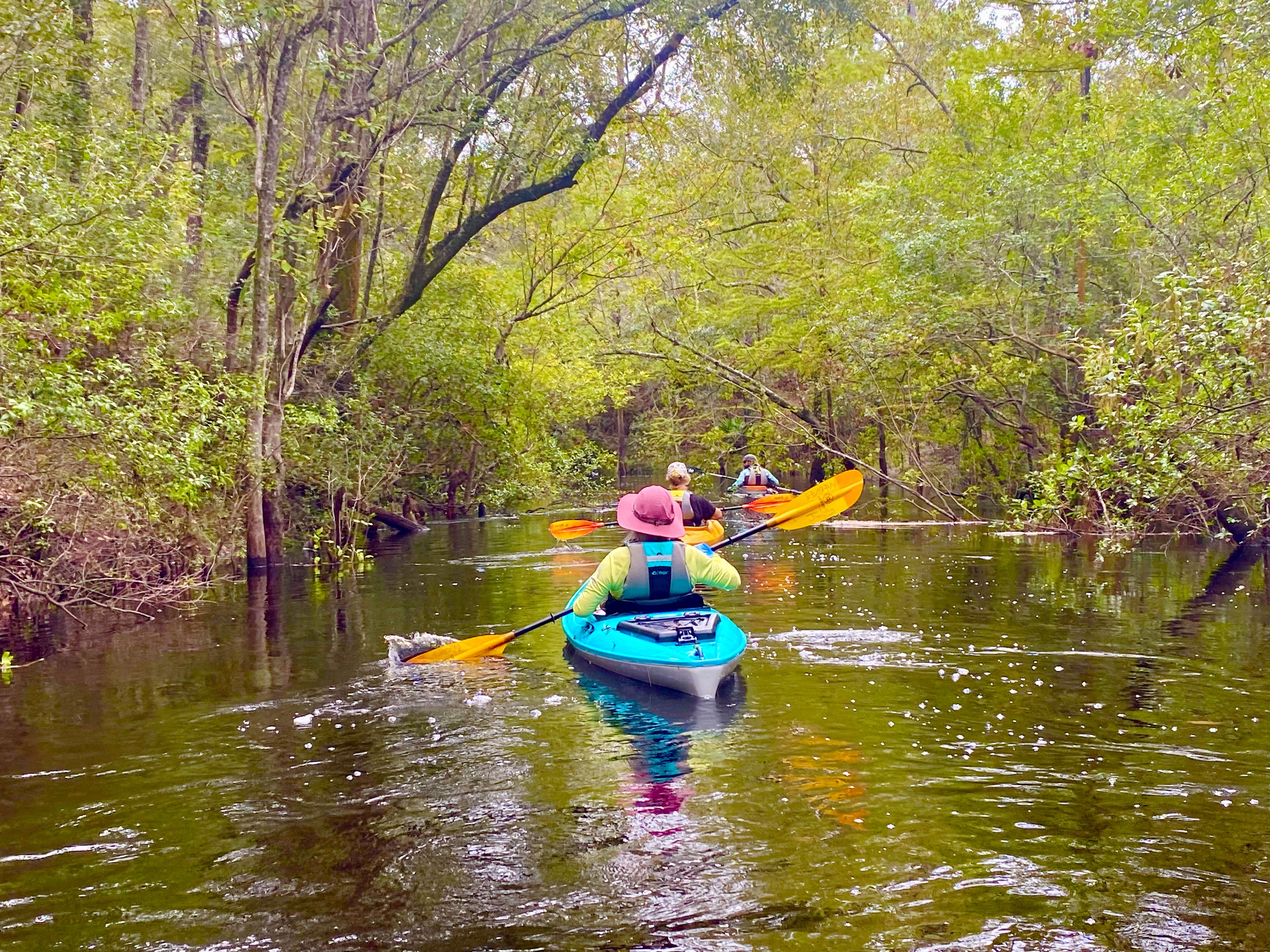 Two kayakers paddling single file along a narrow wooded section of the Sopchoppy River
