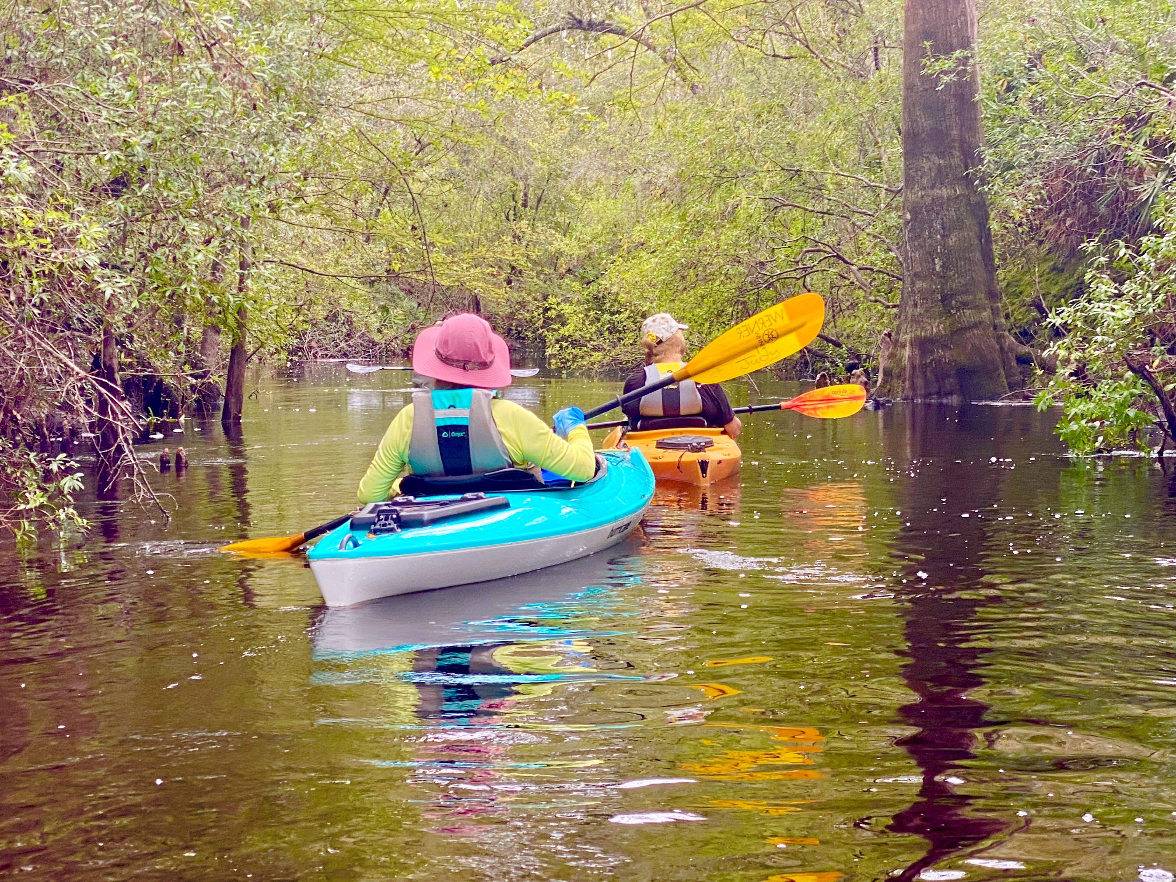 Several kayakers paddling through calm reflective water beneath the Sopchoppy forest canopy
