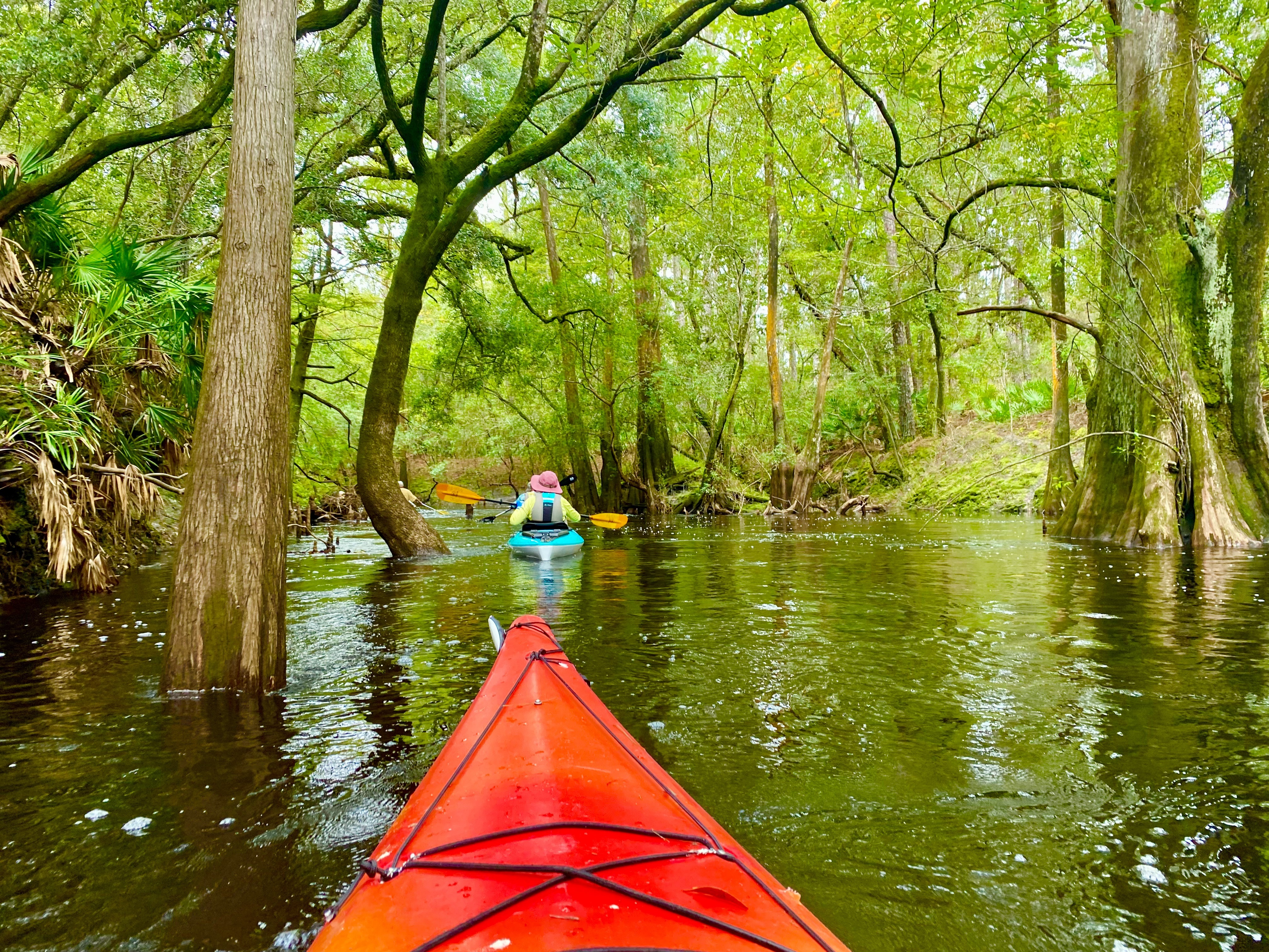 View over a red kayak following another paddler beneath an arching forest canopy