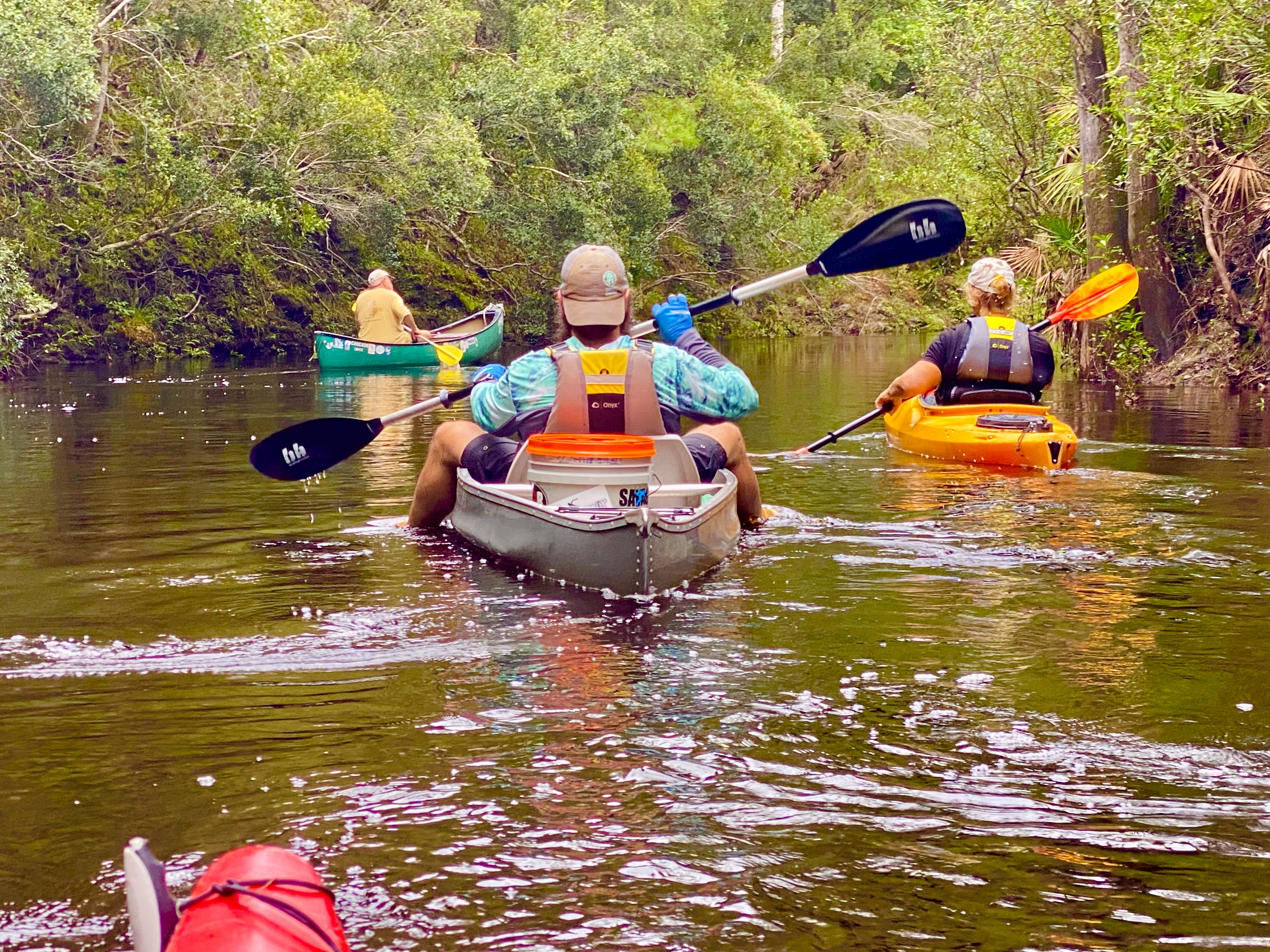 A group of kayakers paddling downstream through the wooded Sopchoppy River