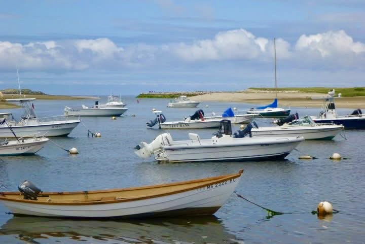 Boats in Wellfleet Harbor