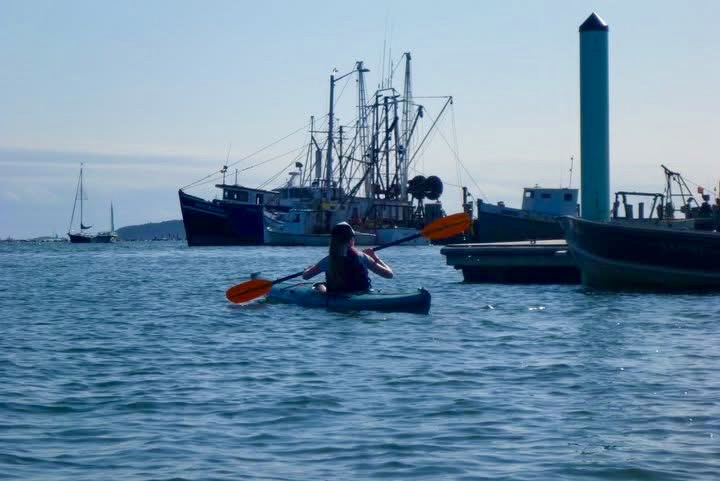 Kayaking past Wellfleet's working waterfront