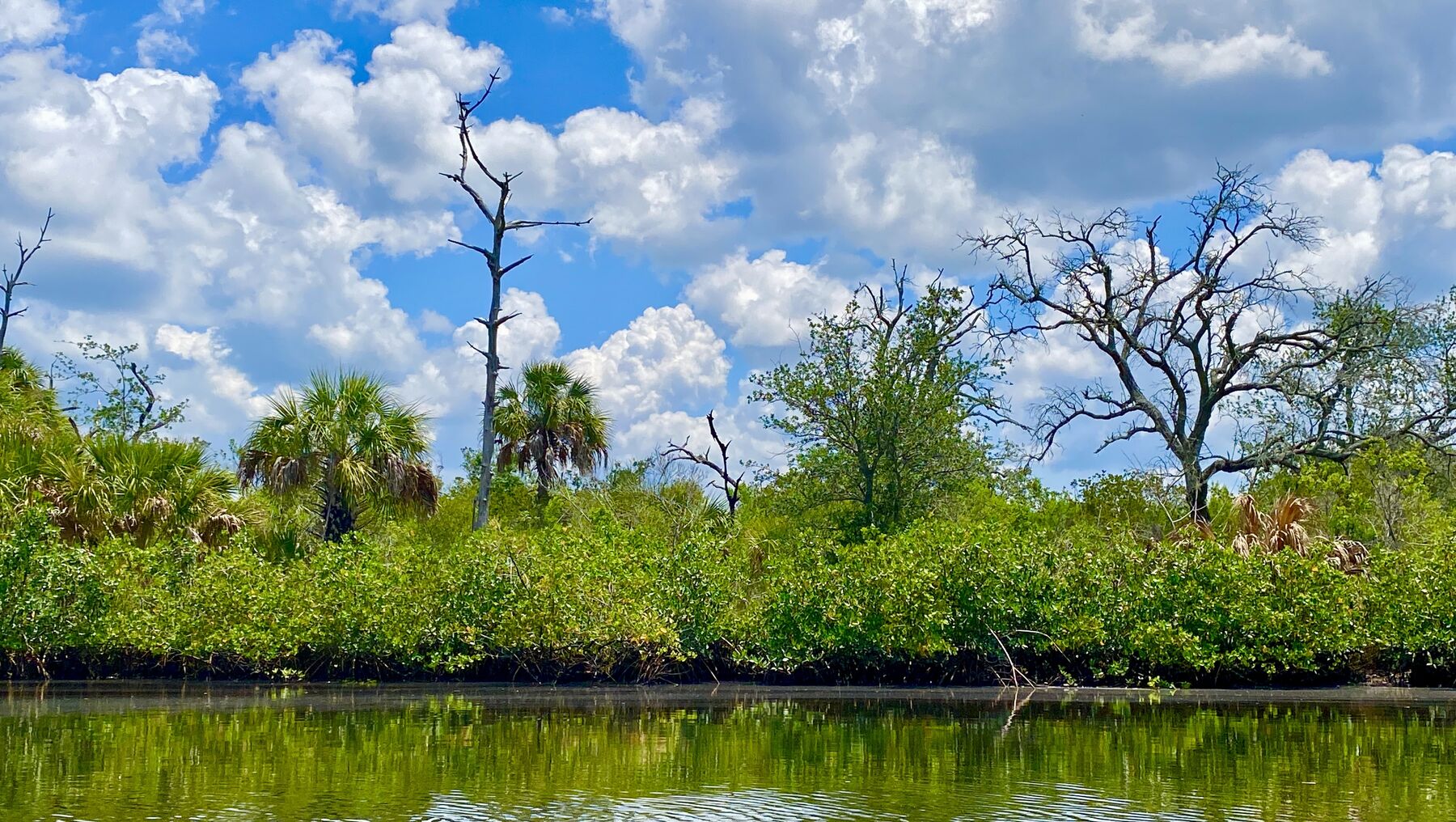 Calm shoreline of Double Branch