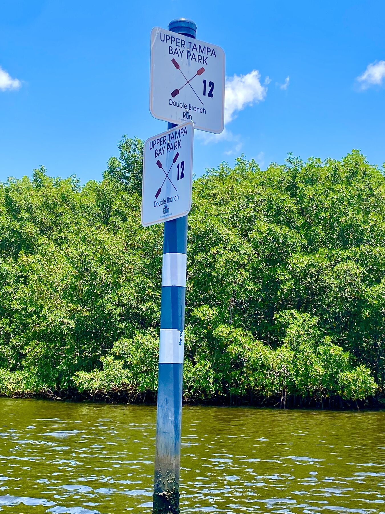 Waterway regulation sign near the mangroves