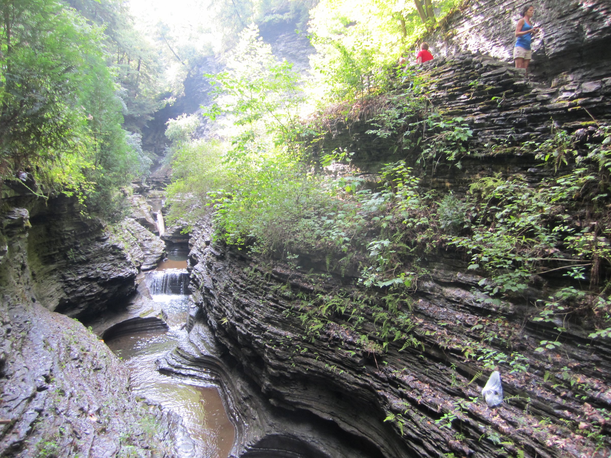 Thin layers of sedimentary rock bending along the gorge.