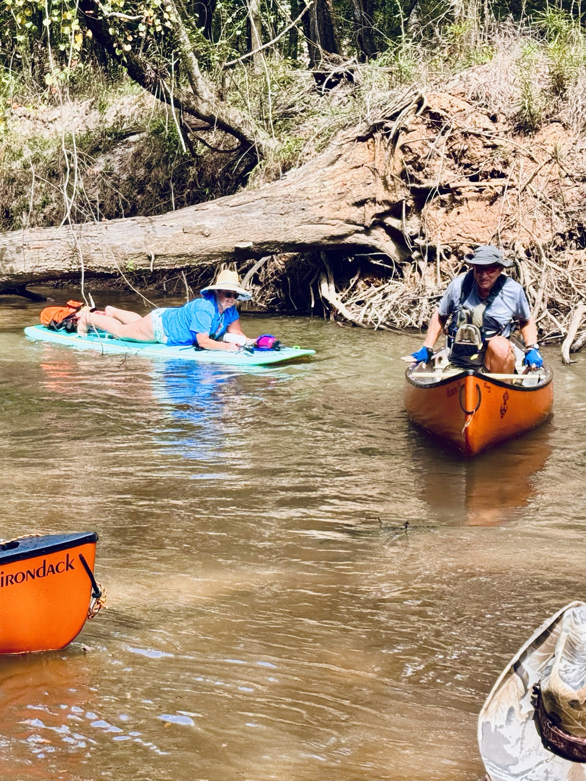Paddlers approaching a low log