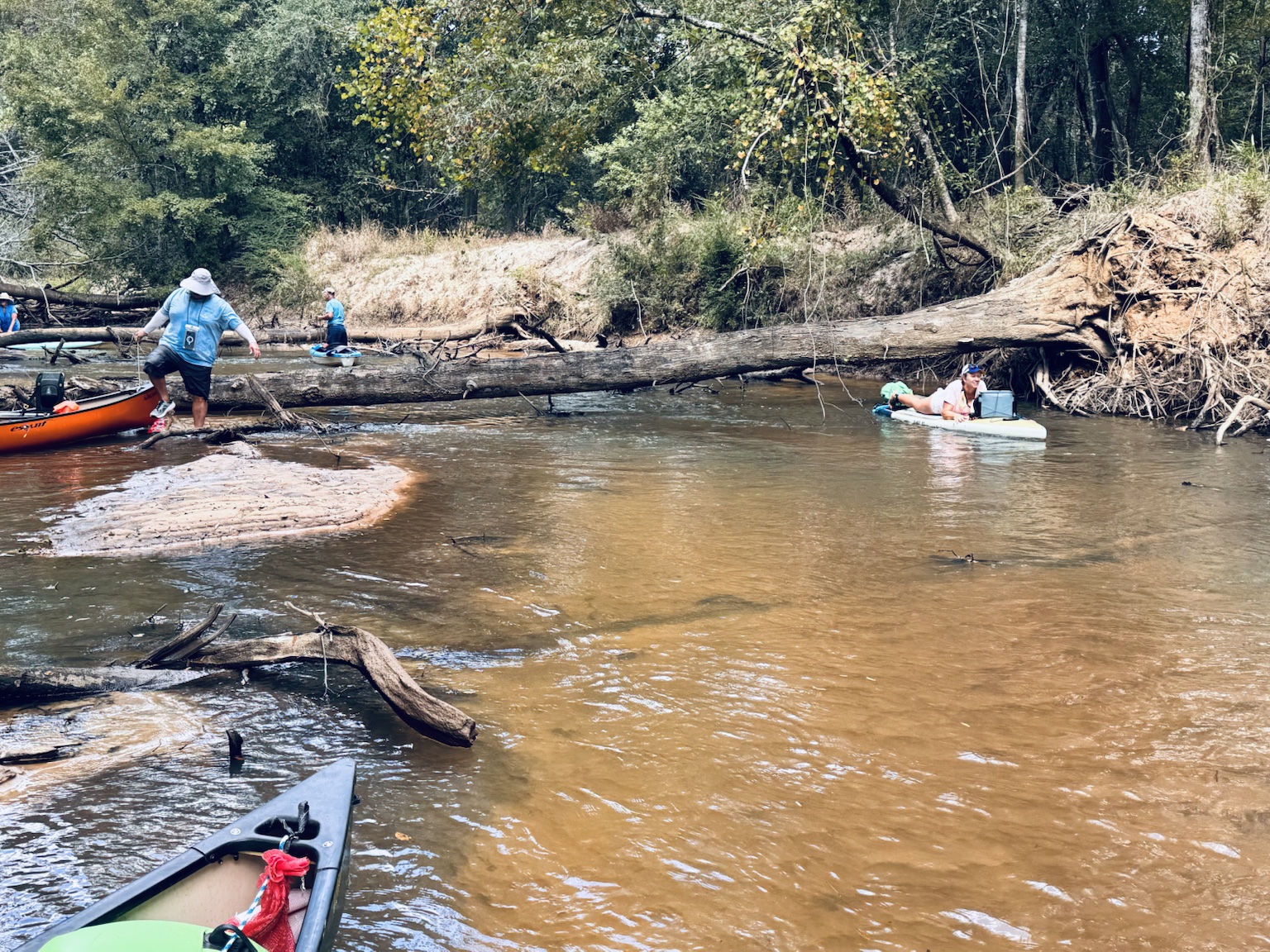 Shallow creek and sandbars
